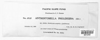 Anthostomella pholidigena image